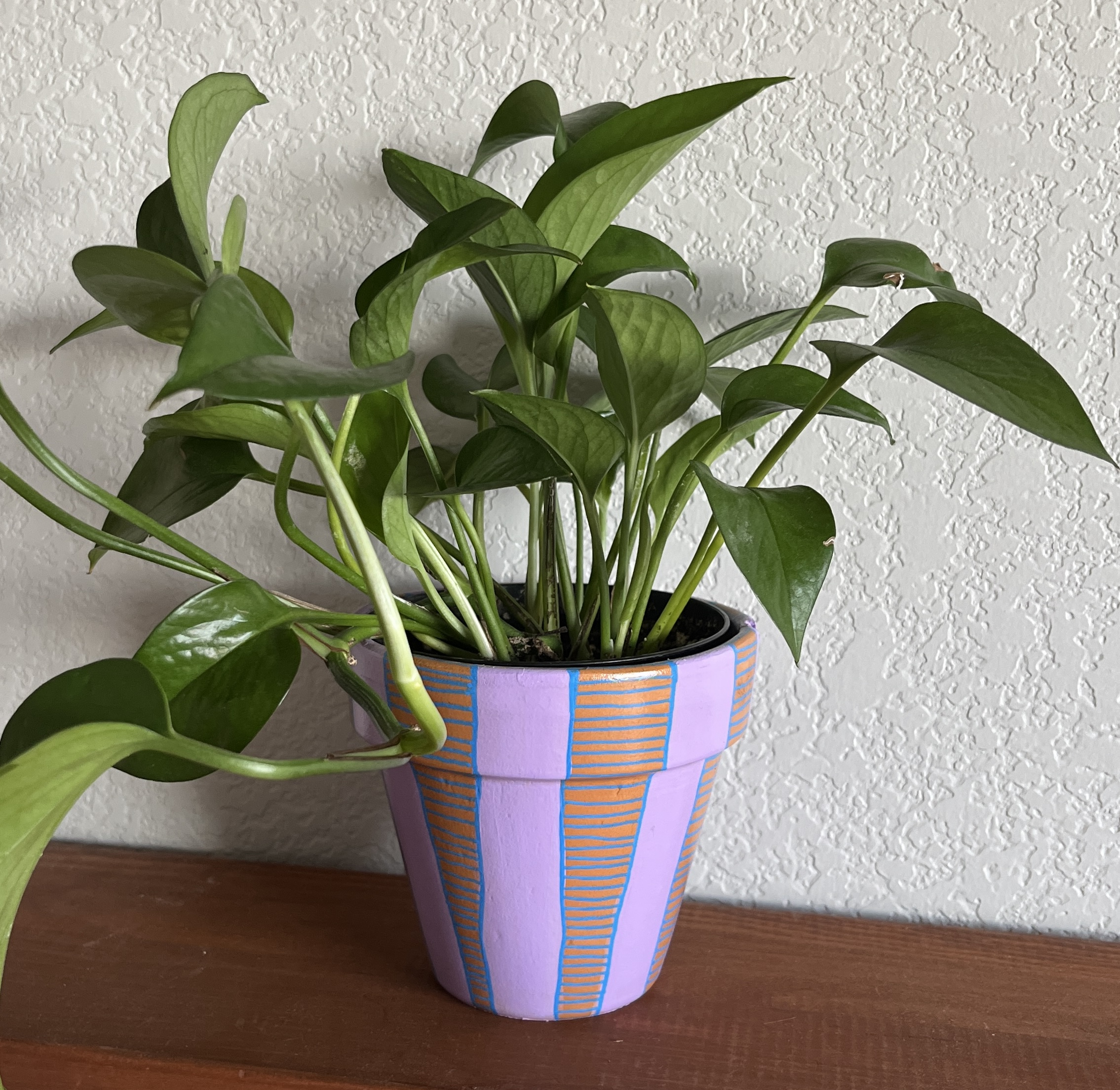 Painted Terra Cotta Planter - 4 inches